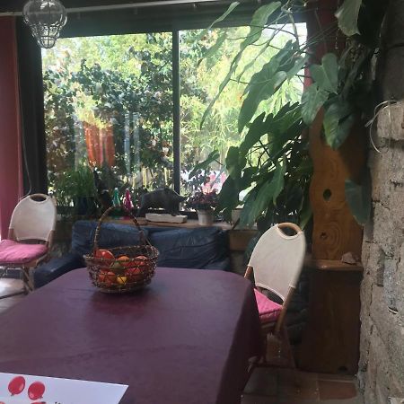 Le Paradis Bed and Breakfast Zicavo Esterno foto