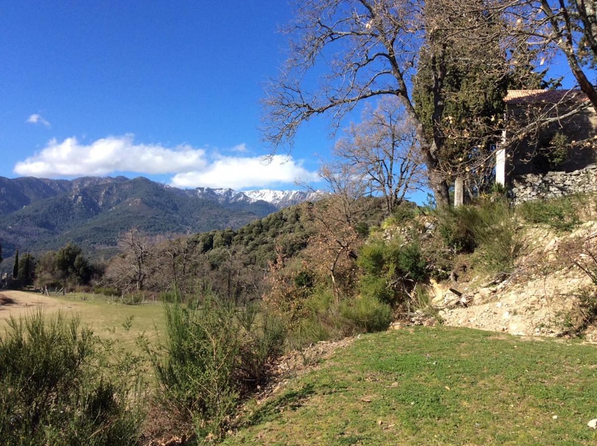 Le Paradis Bed and Breakfast Zicavo Esterno foto