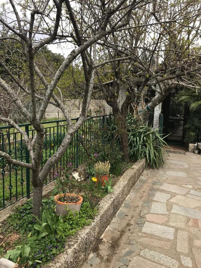 Le Paradis Bed and Breakfast Zicavo Esterno foto
